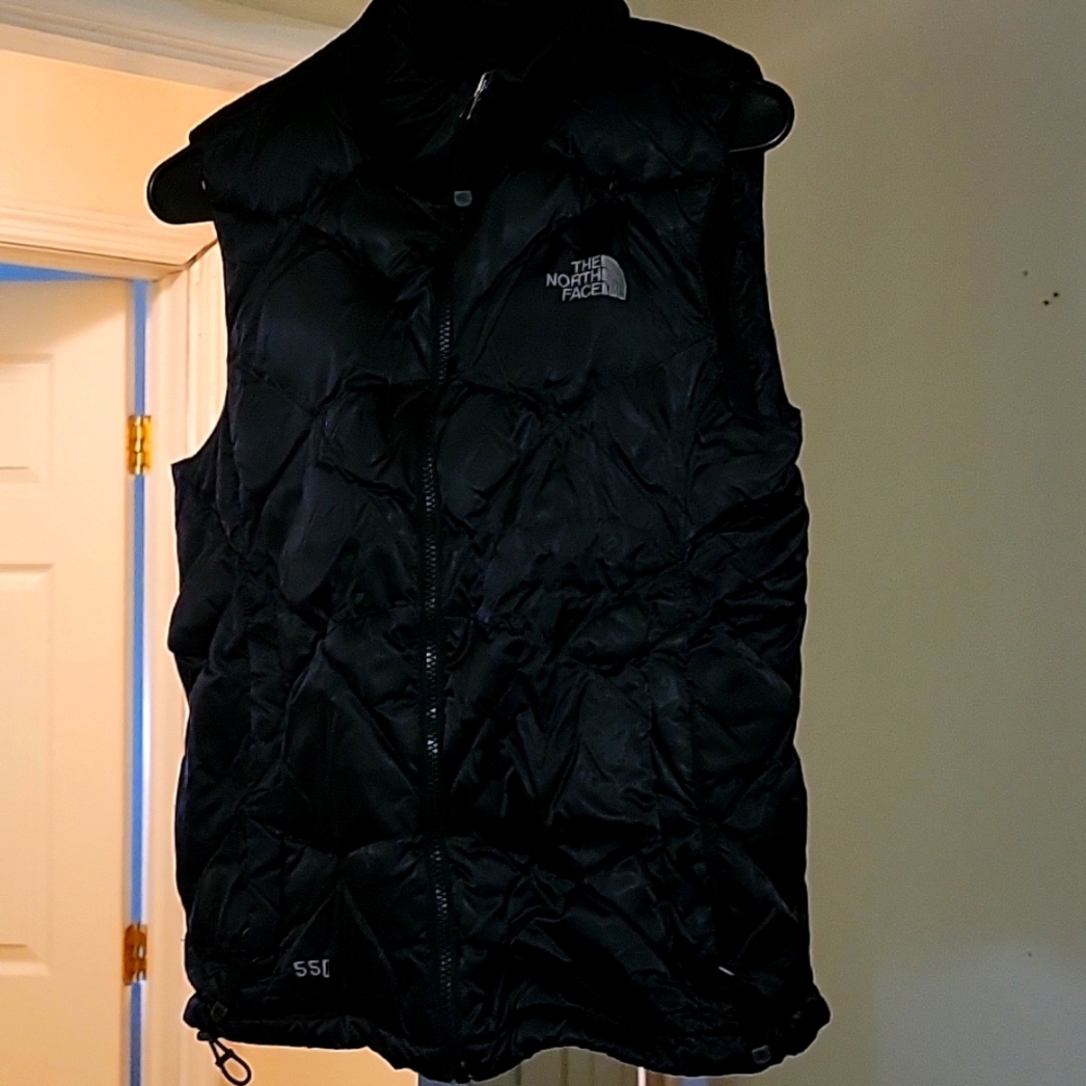 The north face vest